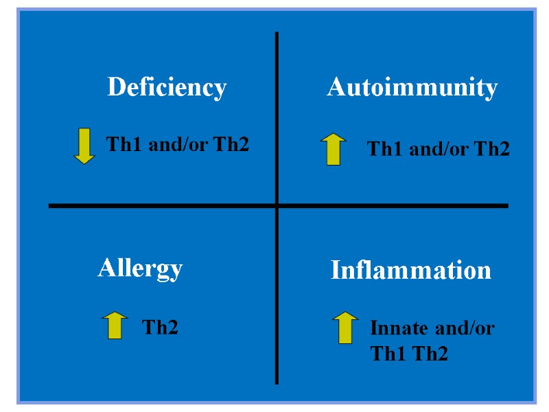Allergy Autoimmunity Deficiency Inflammation Th2 Innate and/or Th1 Th2 Th1 and/or Th2 Th1 and/or